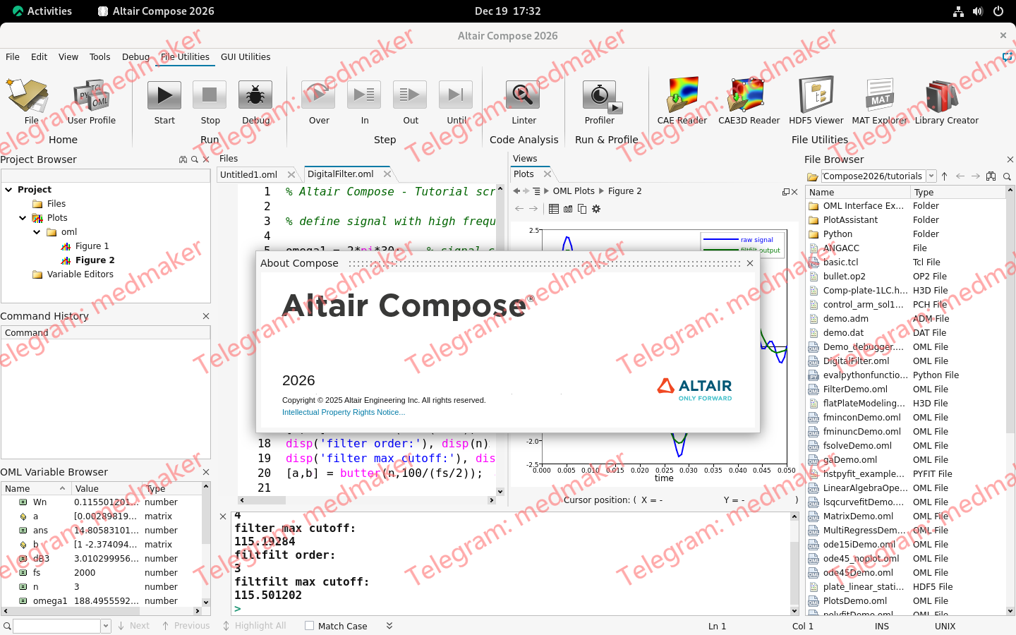 Altair Compose 2026.0 Linux64-Engsofts