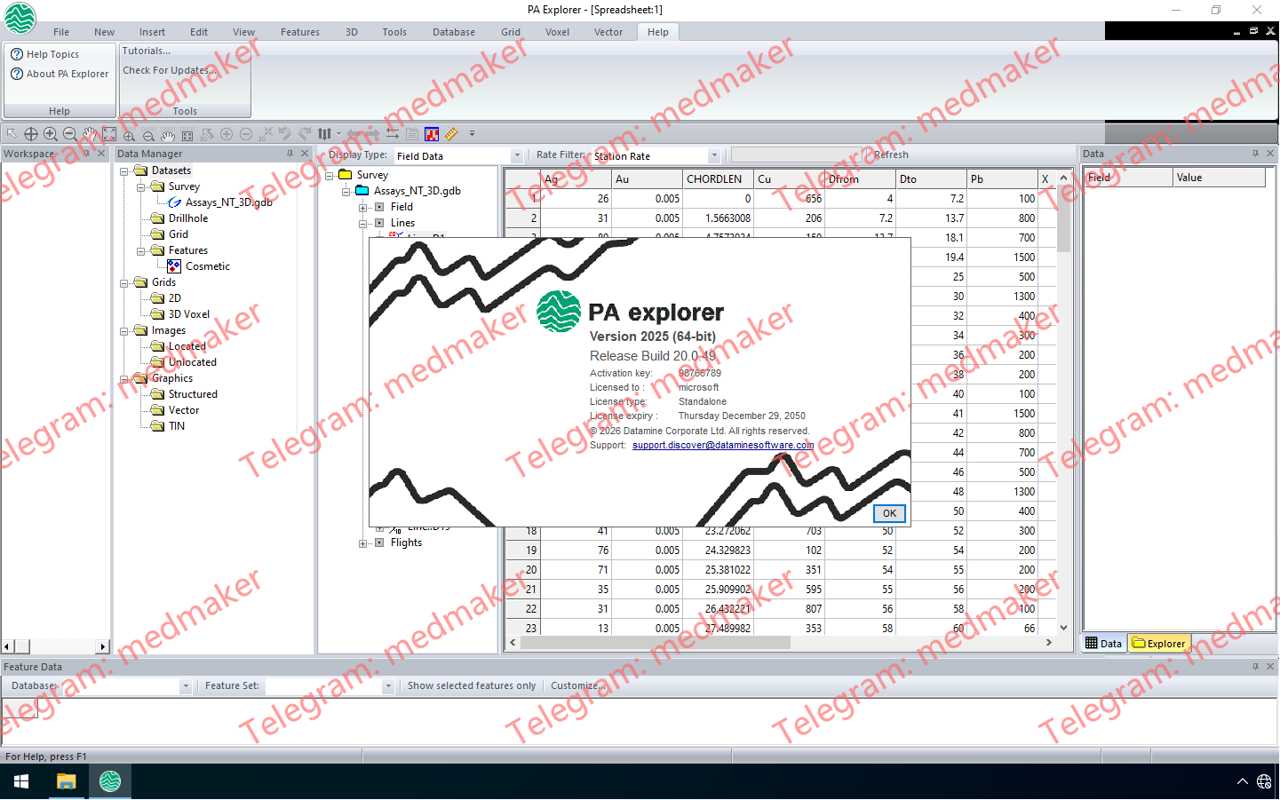 Datamine PA Explorer 2025 v20.0.49-Engsofts