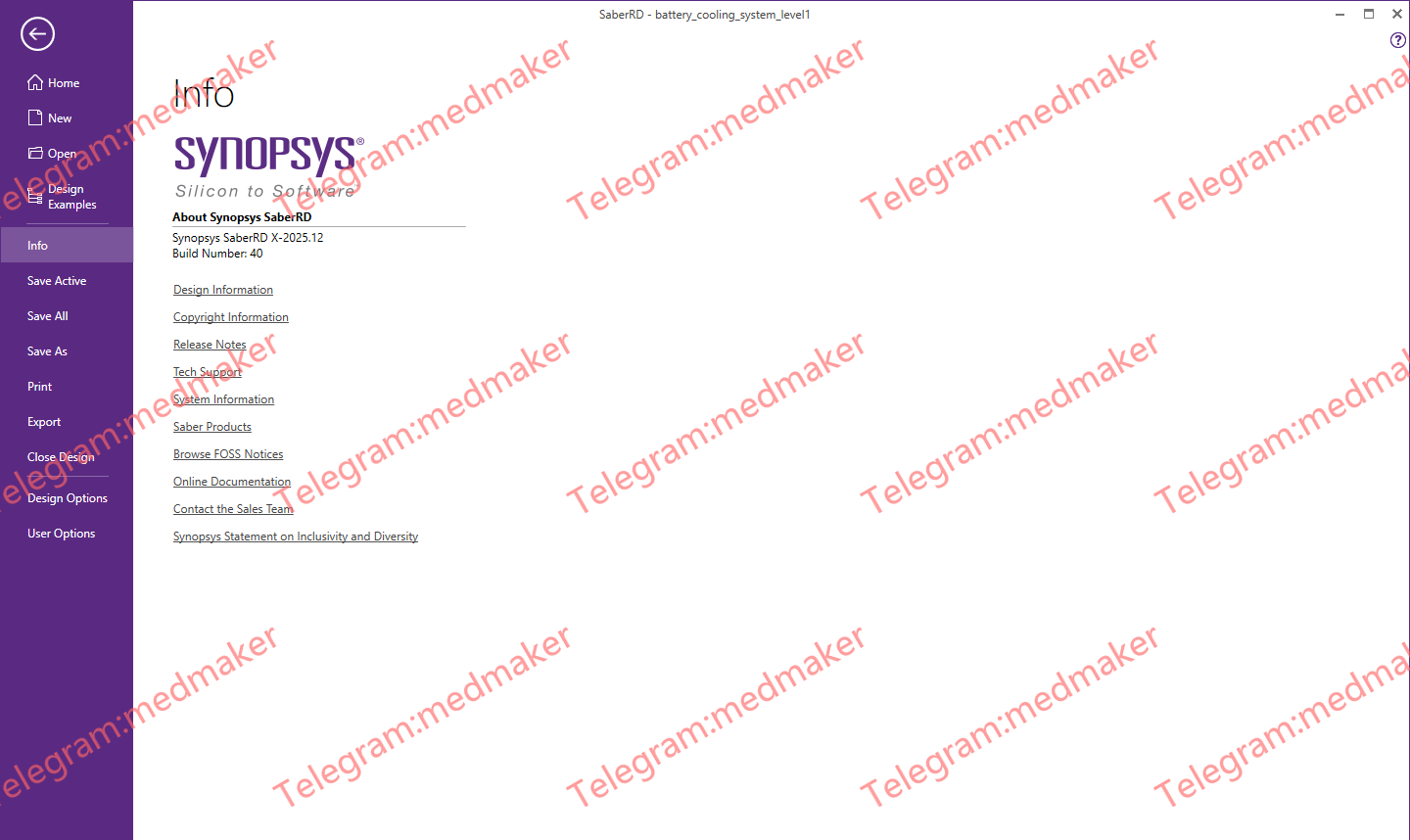 Synopsys SaberRD 2025.12-Engsofts